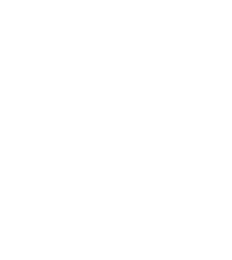 丸